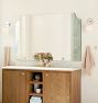 Colestin Metal Frame Double Vanity Mirror