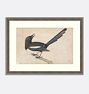 MAGPIE 20INX15IN