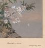 Floral Morning Wall Art Print
