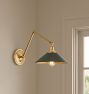 Poplar Articulating Sconce, 22" Length in Painted Brass Shades