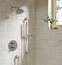 Trask Thermostatic Shower Set With Handshower