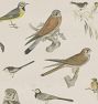 Bird Menagerie Wall Art Print