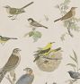 Bird Menagerie Wall Art Print