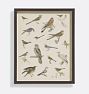 Bird Menagerie Style 1 12x15in
