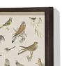 Bird Menagerie Wall Art Print