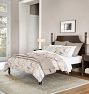 Colestin Bed
