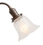 Vintage Victorian Chandelier 2 Arm Electric