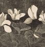 Cyclamen by Samuel Jessurun De Mesquita Framed Reproduction Wall Art Print