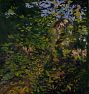 Peacock in the Woods by Abbot Handerson Thayer Framed Reproduction Wall Art Print