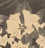 Rhododendron by Samuel Jessurun De Mesquita Framed Reproduction Wall Art Print