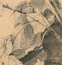 Study of Foliage by William Trost Richards Framed Reproduction Wall Art Print