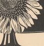 Sunflower by Samuel Jessurun De Mesquita Framed Reproduction Wall Art Print