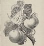The Rennet Apple of North America by Michael Williams Framed Reproduction Wall Art Print
