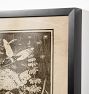 Zoomer by Theo Van Hoytema Framed Reproduction Wall Art Print