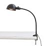 Vintage Industrial Cast Iron Gooseneck Clamp-On Lamp
