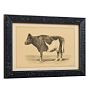 Vintage 19th Century French Cow by Julius Bien & Co. Lith Print No. 2