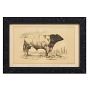 Vintage 19th Century French Cow by Julius Bien &amp; Co. Lith Print No. 6