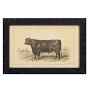 Vintage 19th Century French Cow by Julius Bien &amp; Co. Lith Print No. 3