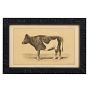 Vintage 19th Century French Cow by Julius Bien &amp; Co. Lith Print No. 2
