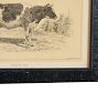 Vintage 19th Century French Cow by Julius Bien &amp; Co. Lith Print No. 1