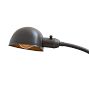 Vintage Industrial Cast Iron Gooseneck Clamp-On Lamp