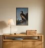 Washington Sea Eagle by John James Audubon Framed Reproduction Wall Art Print