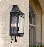Manzanita Sconce