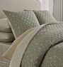 Traditional Garden Bloom Print Quilt, Full/Queen - Aloe