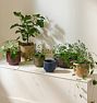 Ava Ceramic Planters