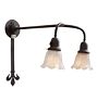 Unusual Vintage Overaching Wall Sconce 22" Projection with 2 Lights and Large Decorative Wall Mount Bracket