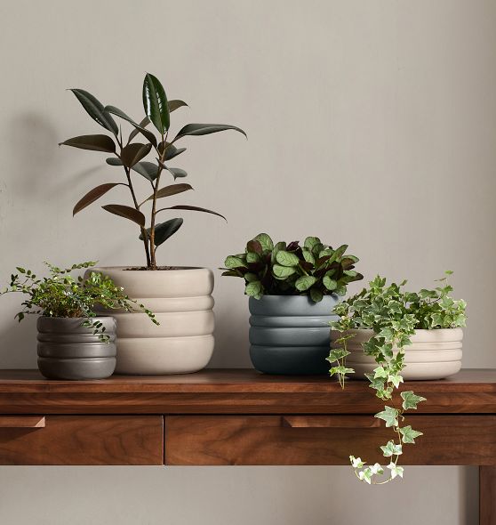 Lou Ceramic Planters by Rejuvenation