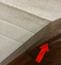 Open Box: Bryson Wood Frame Mirror (20"W x 42"H) - Walnut