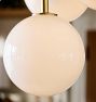 Allenglade Quad Chandelier, 6" Shades