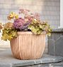 Marlow Concrete Planters
