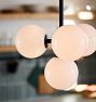 Allenglade Quad Chandelier, 8" Shades