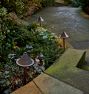 Viola Low Voltage LED Path Light Sets