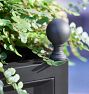 Covington Planters