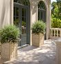 Maroney Concrete Planters