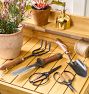 Small Scissors with Walnut Handles