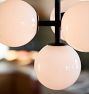 Allenglade Quad Chandelier, 8" Shades
