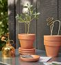 Brass Plant Sticks