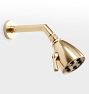 6-Jet Shower Head