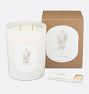 LINNEA Candle - Fall Collection