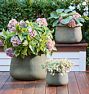 Collins Ceramic Planters