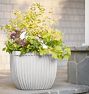 Marlow Concrete Planters