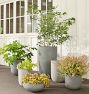 Dell All-Weather Planter