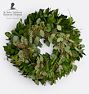 Grevillea Seeded Euc Israeli Ruscus 20in Wreath