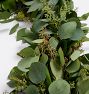 Live Grevillea, Seeded Eucalyptus &amp; Israeli Ruscus Garland and Wreath