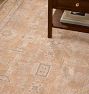 Rosina Indoor/Outdoor Hand-Knotted Rug
