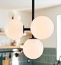 Allenglade Quad Chandelier, 6" Shades